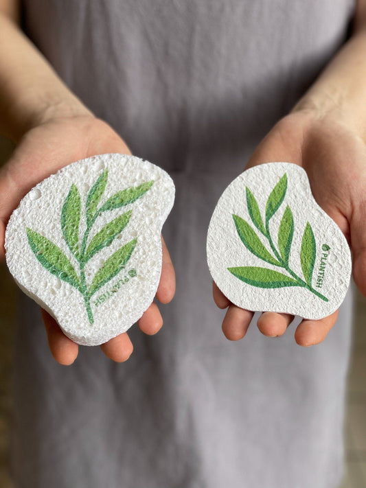 Eucalyptus - Pop-up Sponge
