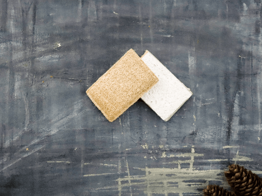 Eco Sponge